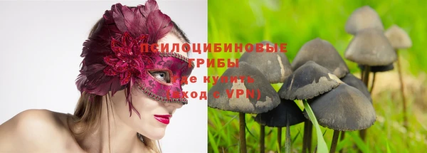 каннабис Богданович