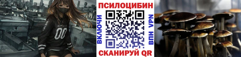 купить   Комсомольск  мориарти Telegram  Галлюциногенные грибы мицелий  omg сайт 